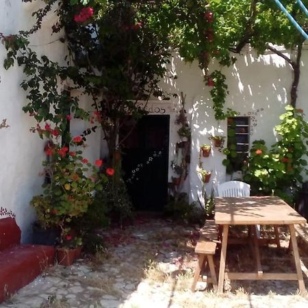 Gasthaus Es Barranco Ferreries Exterior foto